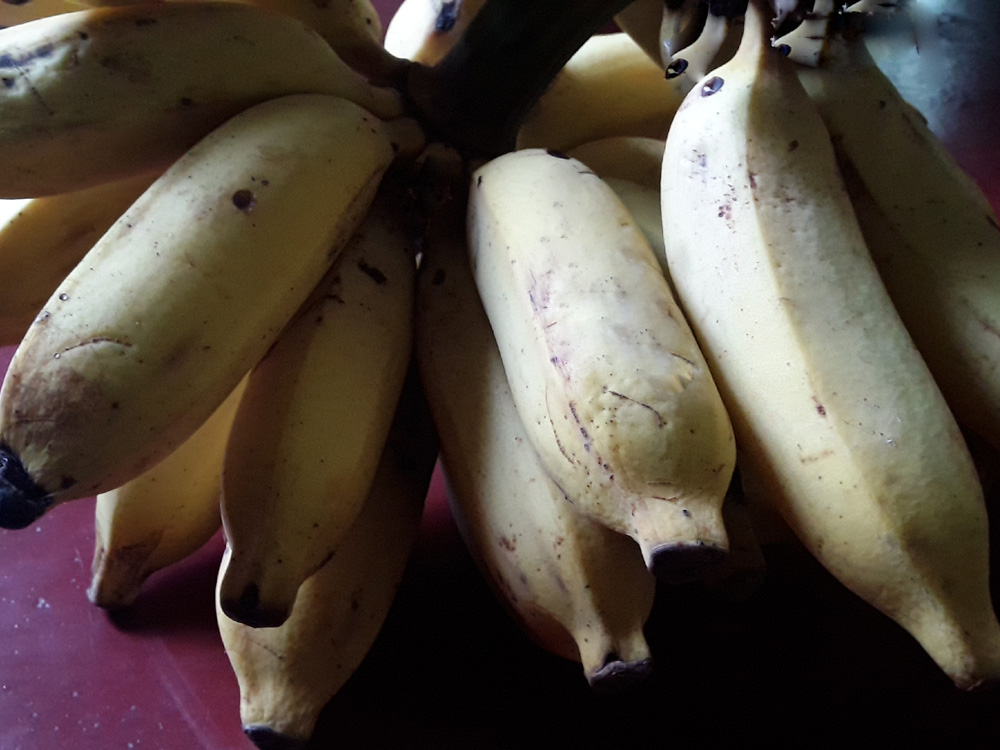 fruits