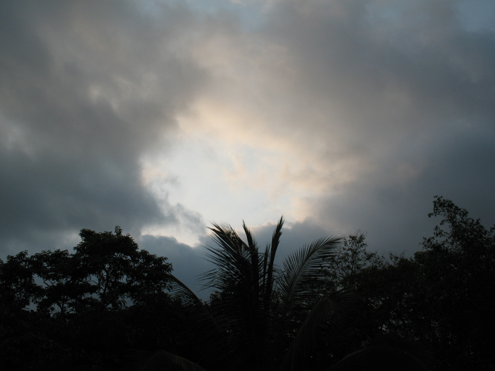 nature