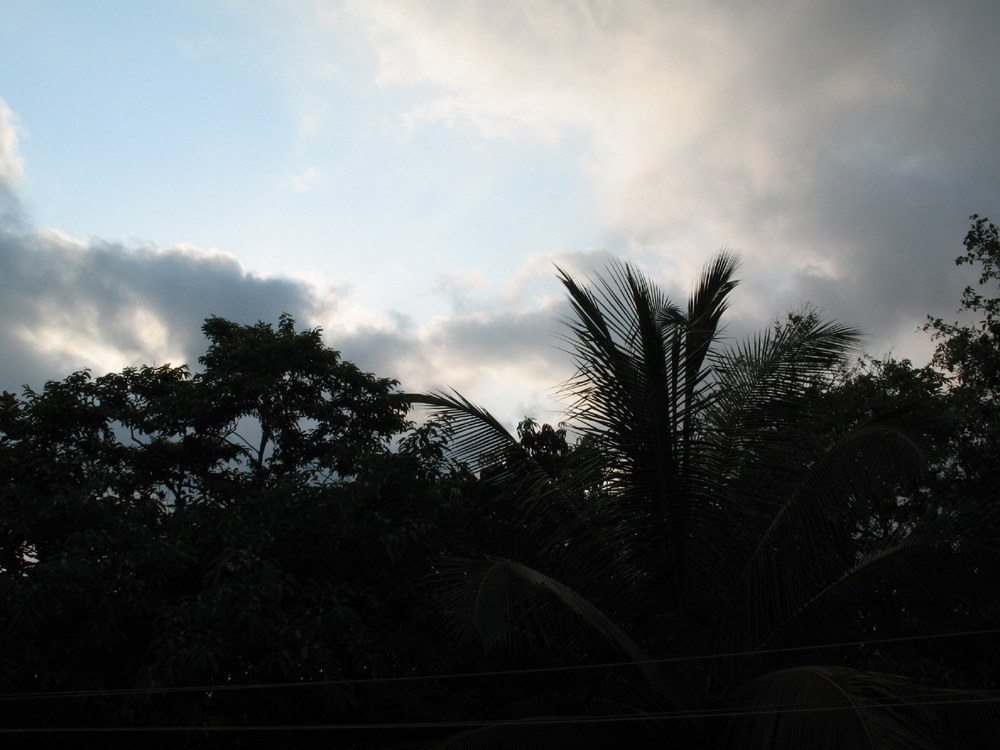 nature