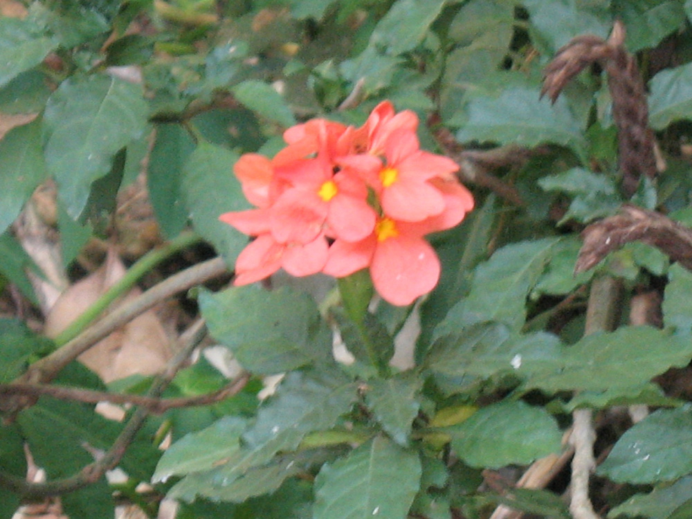 various